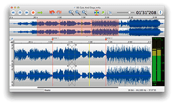 TwistedWave interface product shot